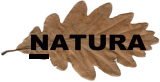sezione natura con gallerie immagini ambientali